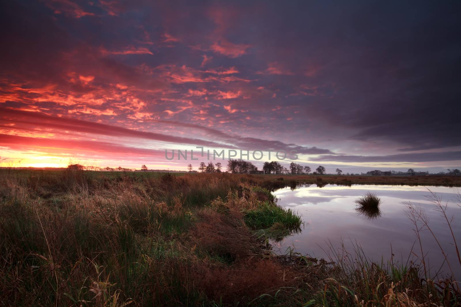 dramatic sunrise over swamp, Onlanden, Drenthe, Netherlands