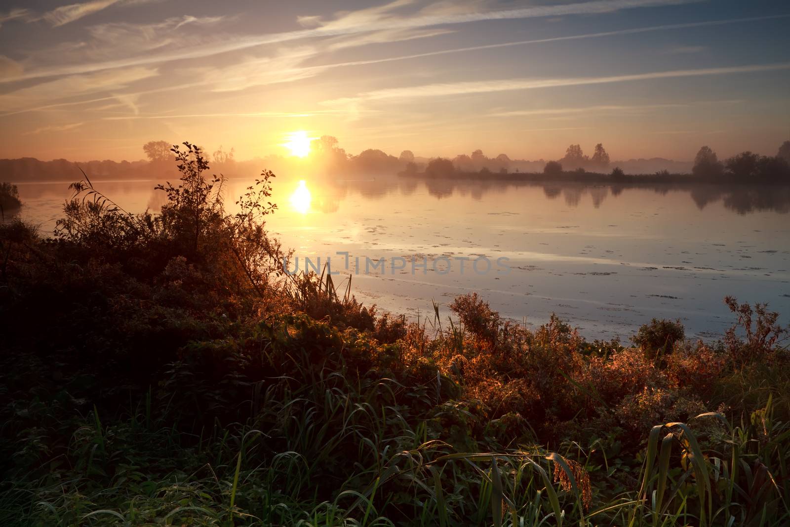 summer sunrise over wild lake, Drenthe, Netherlands