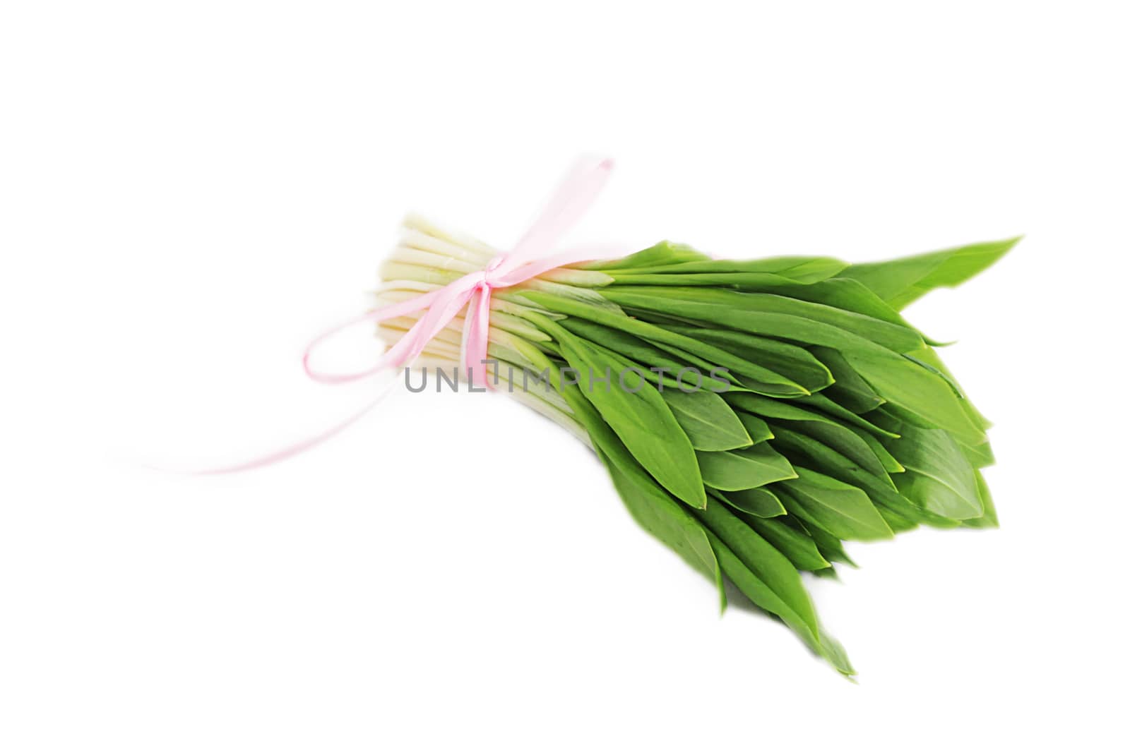 Ramson onion cluster over white background