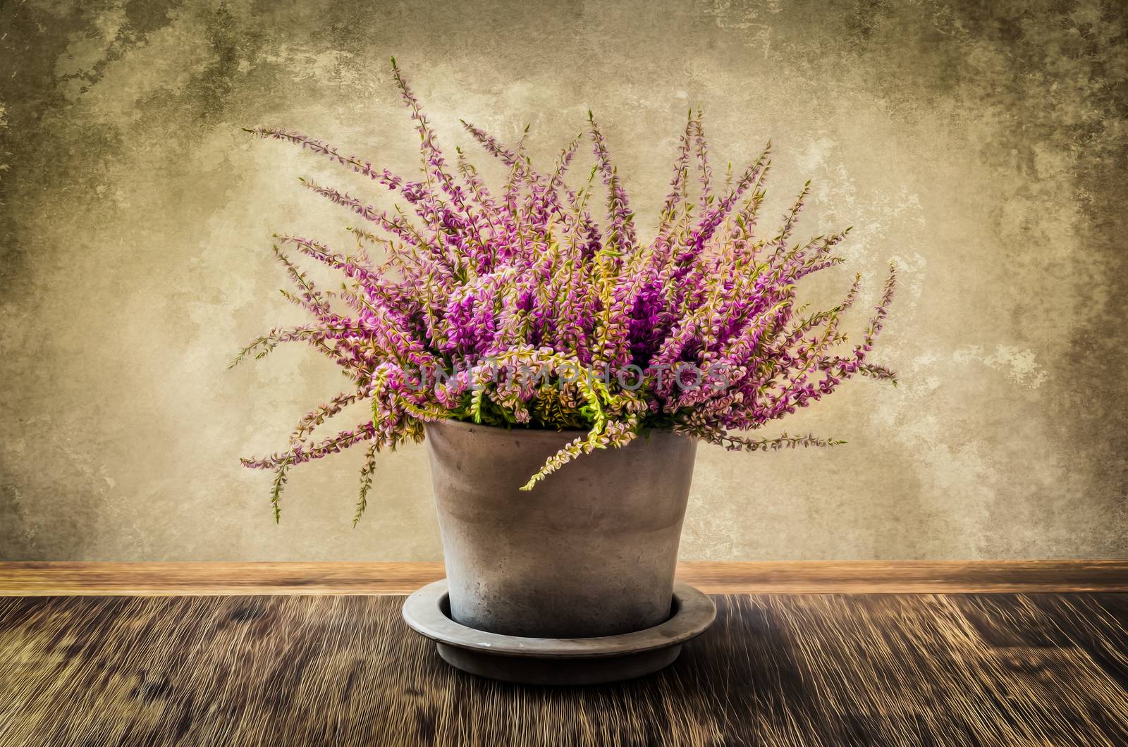 Post-process painting of nice heather flower in pot by martinm303