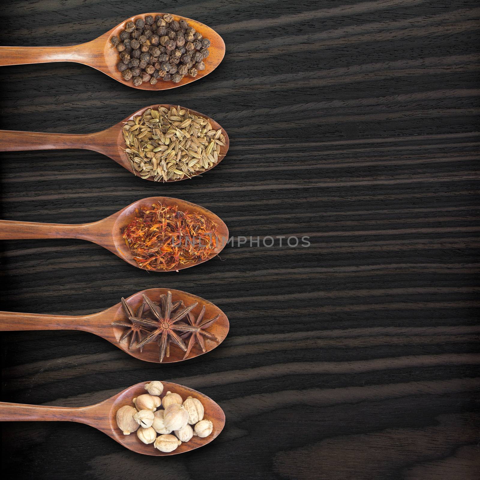 Set of 5 spices on a wooden spoon by wyoosumran