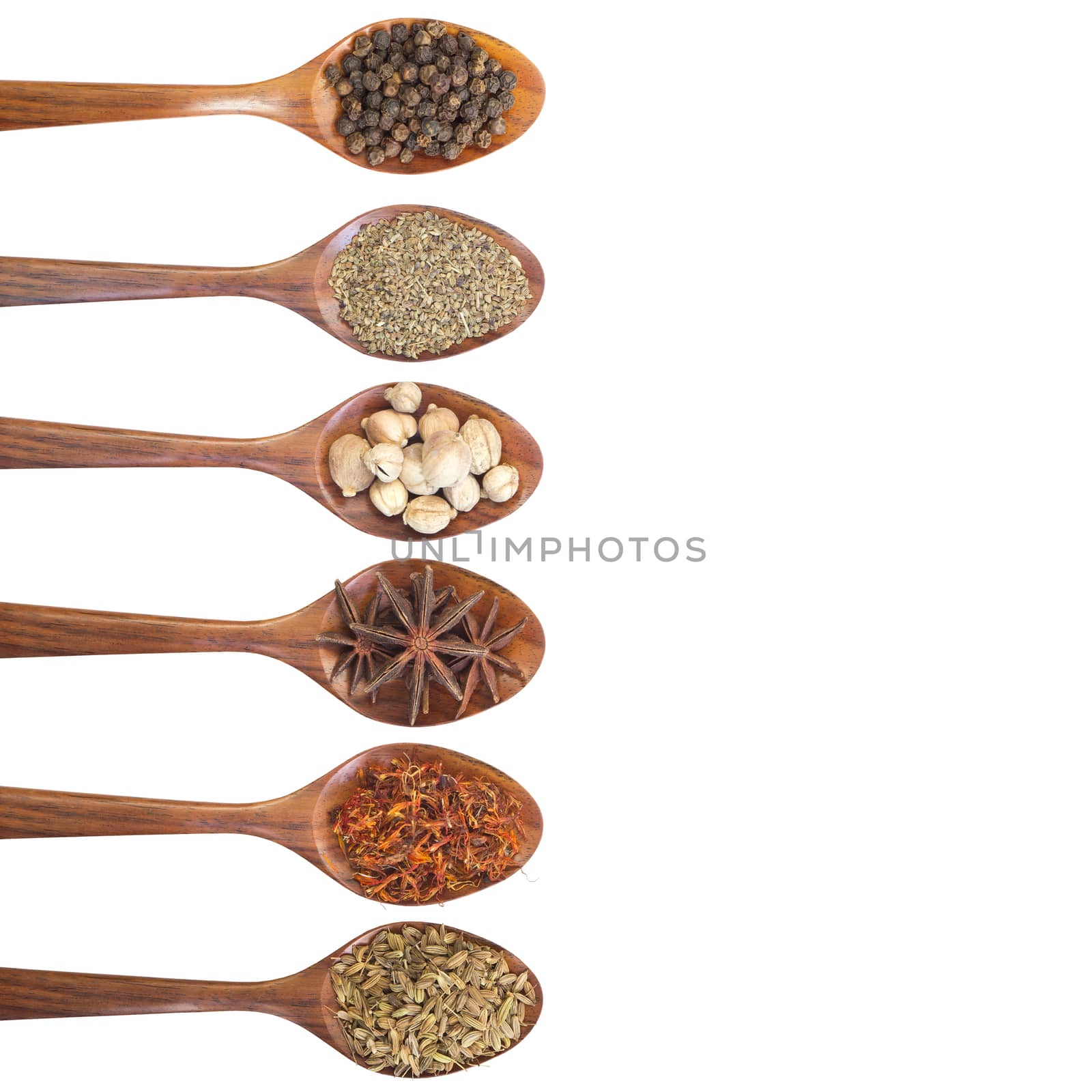 Collection of 6 spices on a wooden spoon. isolated on a white background, clipping path