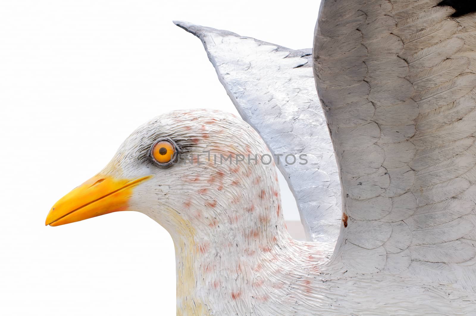 Bird, Seagull statue on the write background