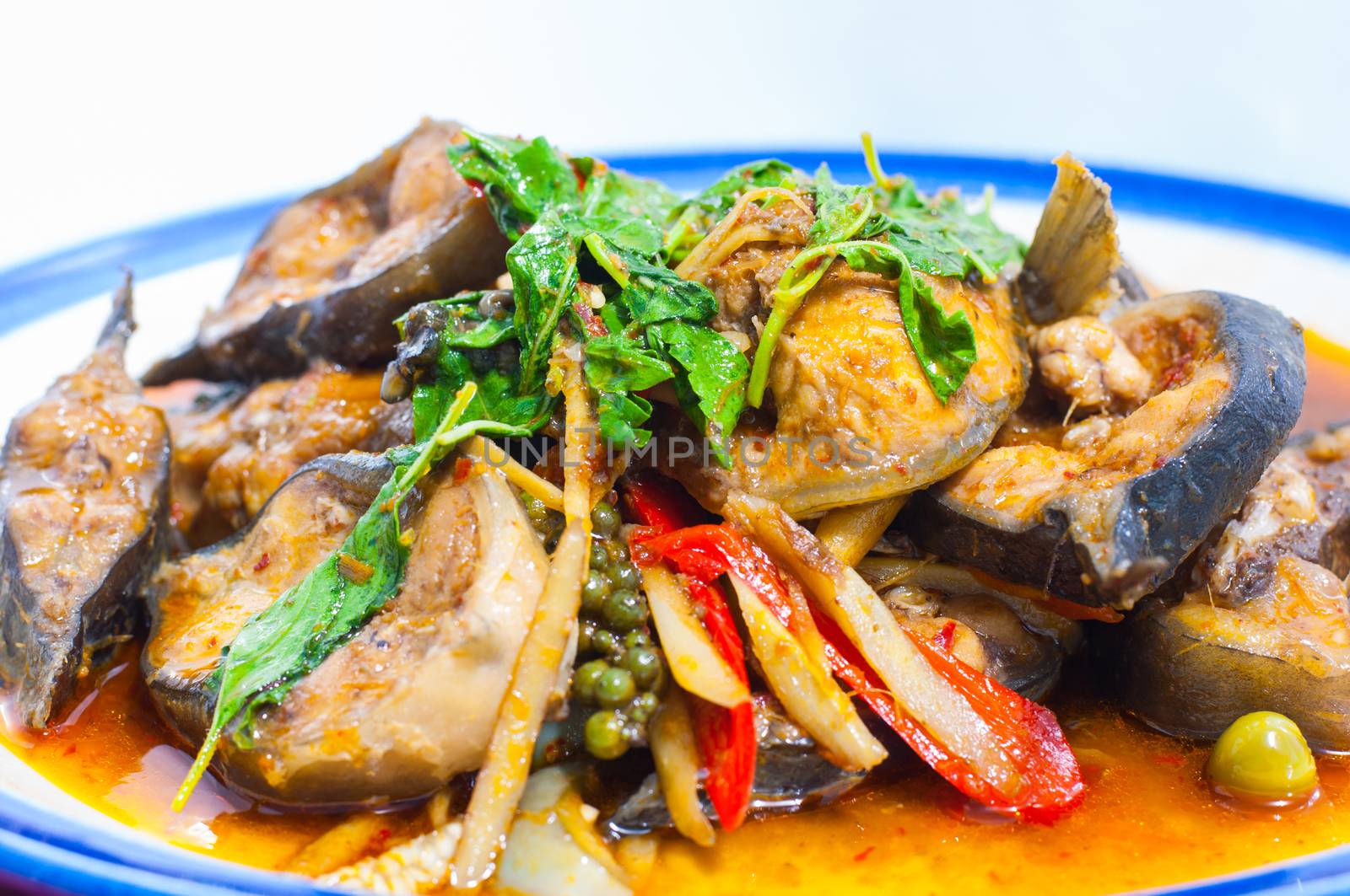 Fried catfish thai food on white background