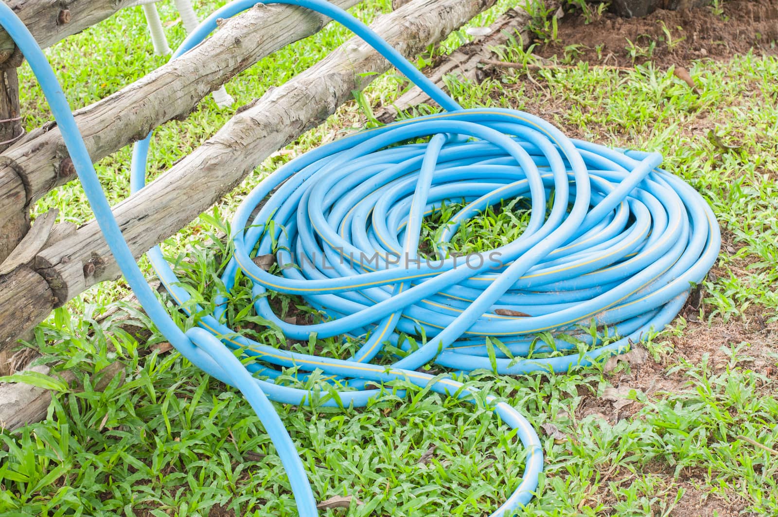 Rubber tube on the lawn green