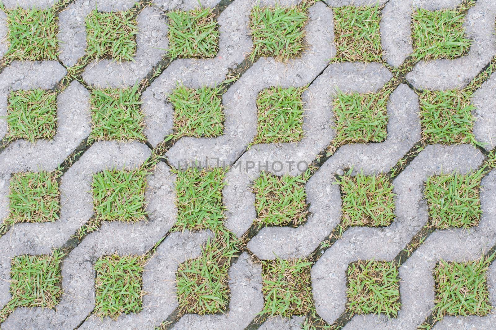 Cobble road with grass growing between cobbles