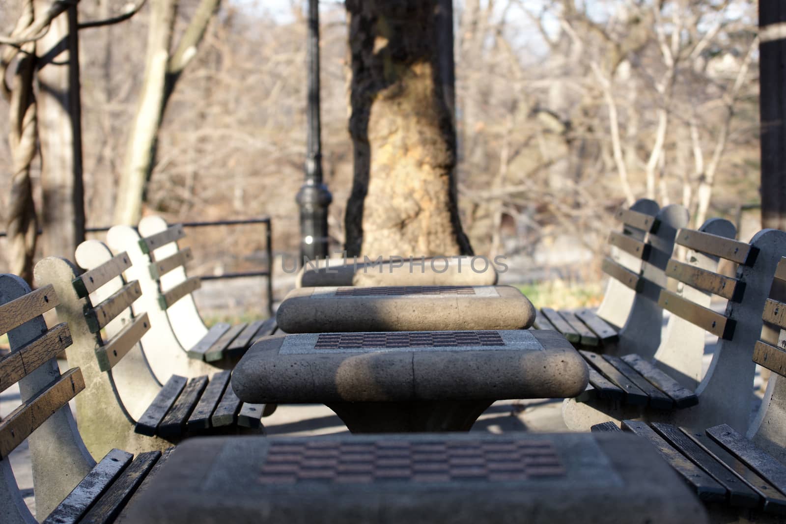 A few concrete chess boards found in Central Park