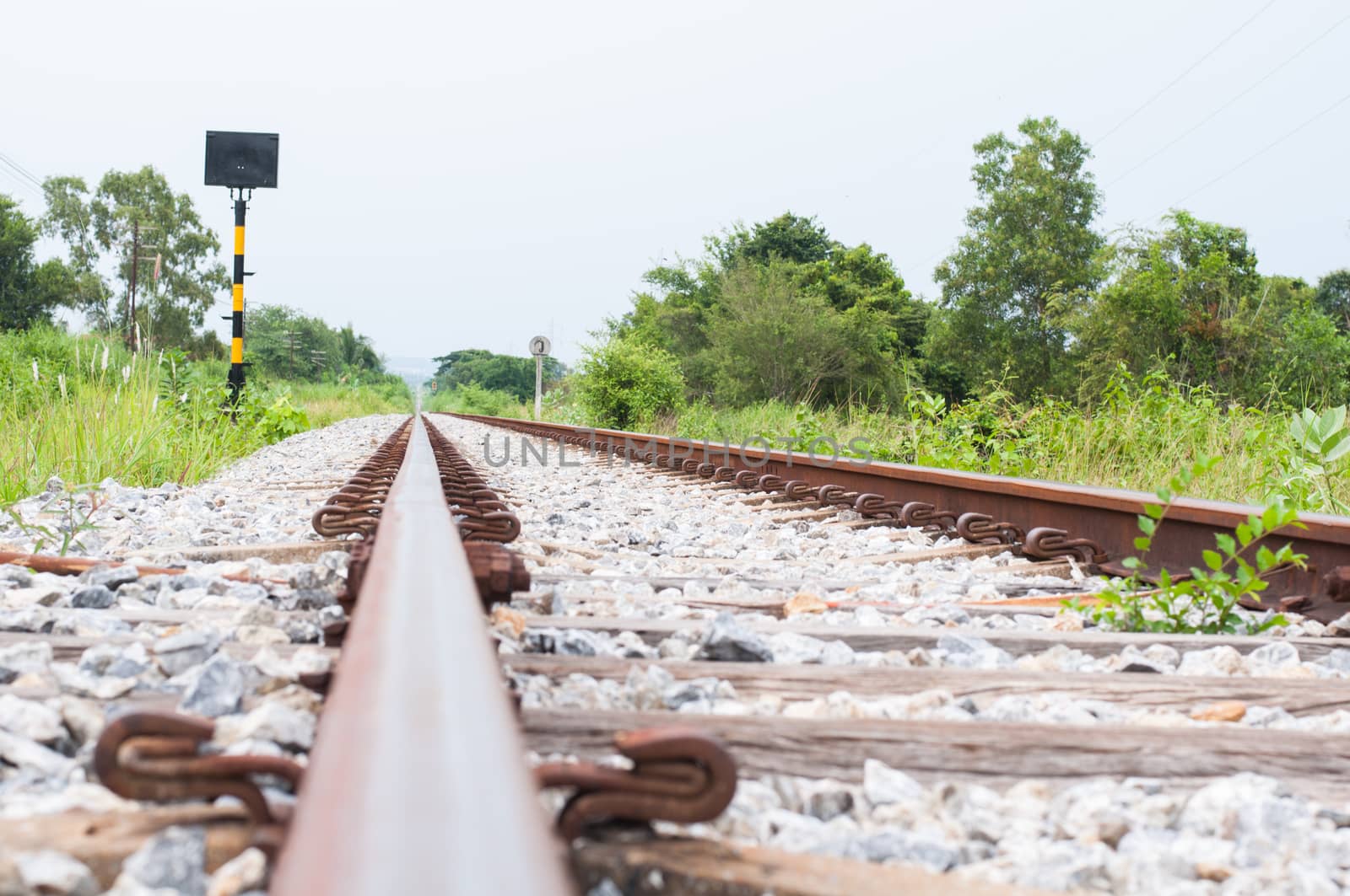 Railroad track into the distance and side of the grass