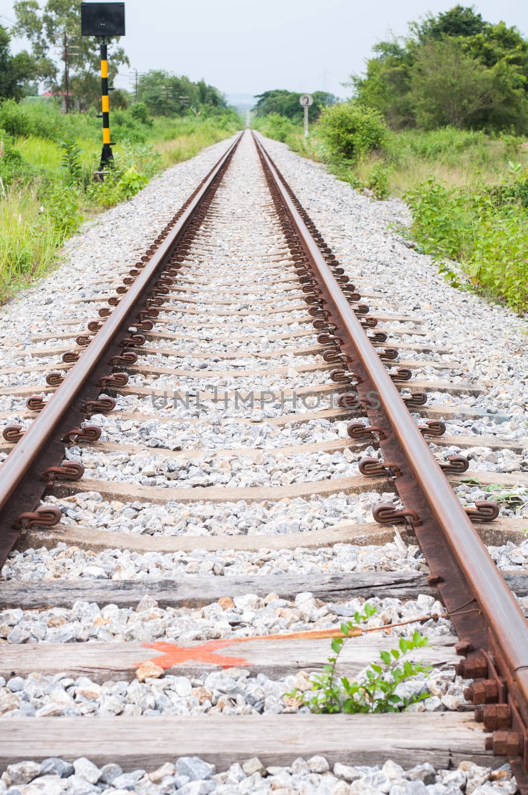 Railroad track into the distance and side of the grass