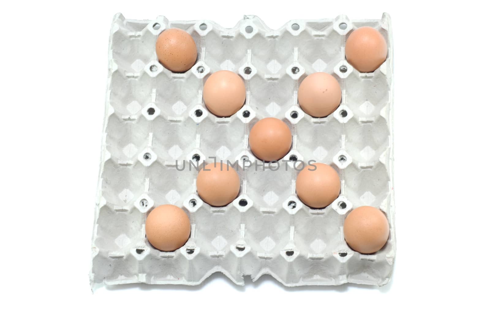 X , eggs alphabet on white background