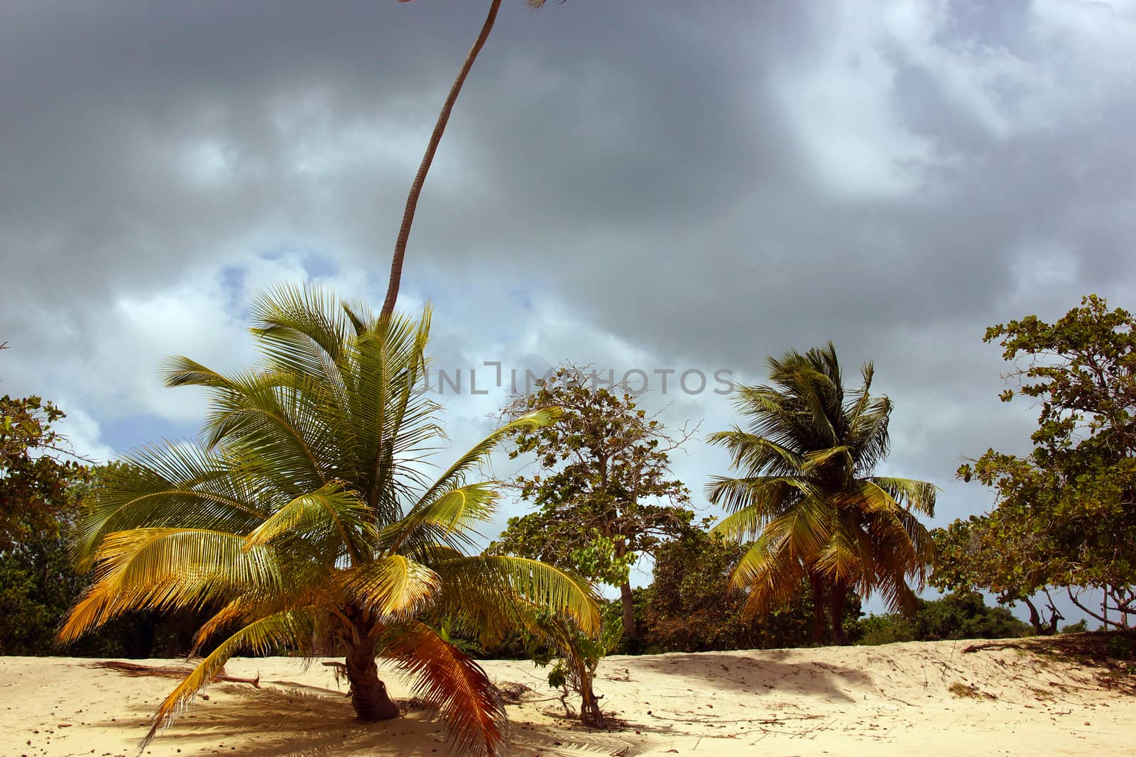 A tropical beach on the verge of a small rain storm