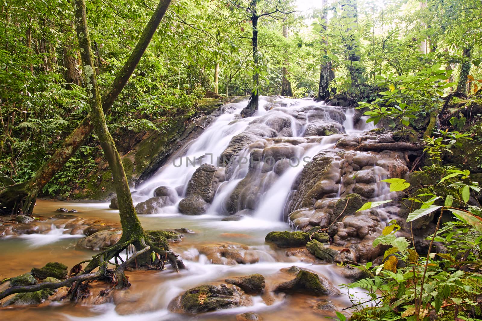 Waterfall in deep forest by wyoosumran