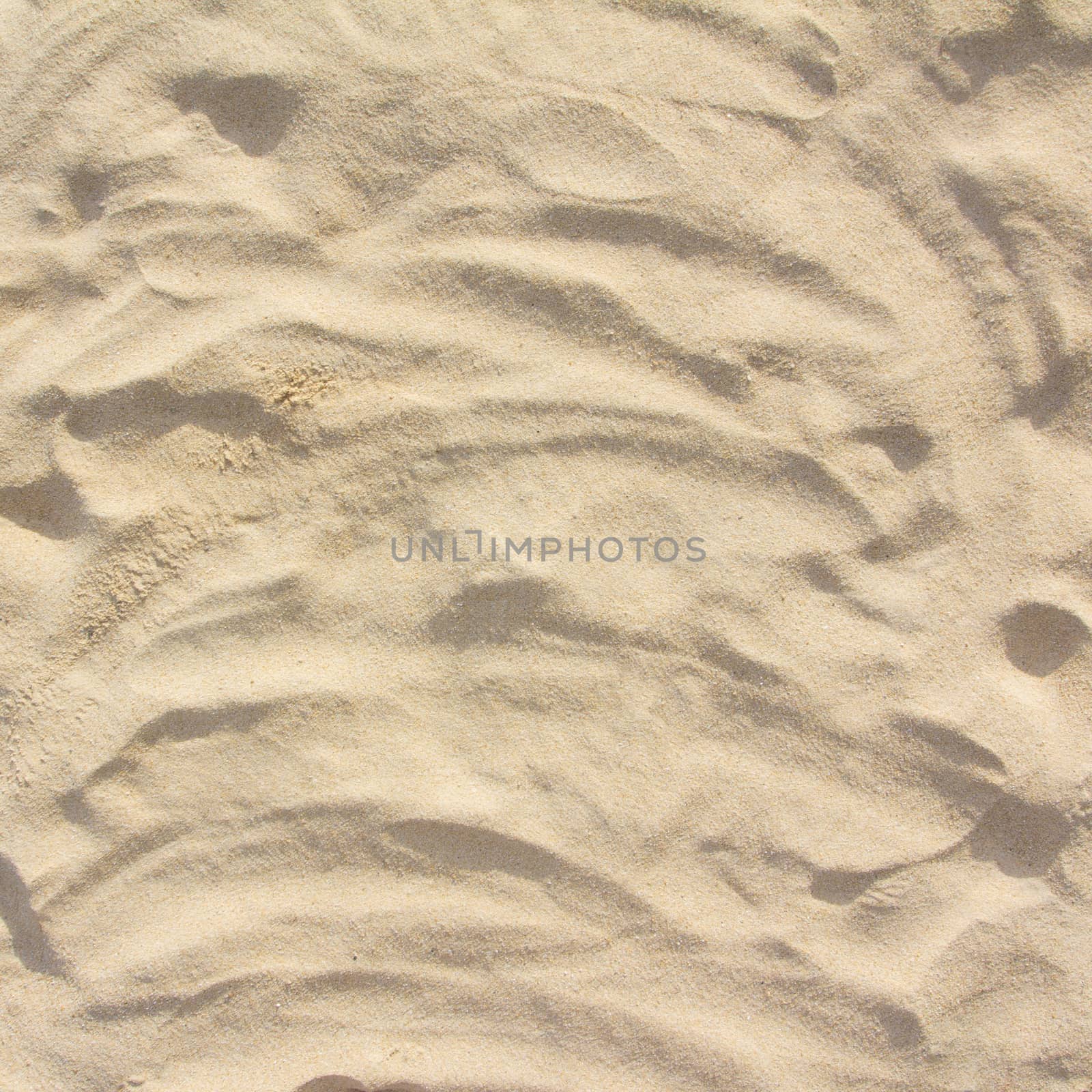 Close up shot of coral sand  by wyoosumran