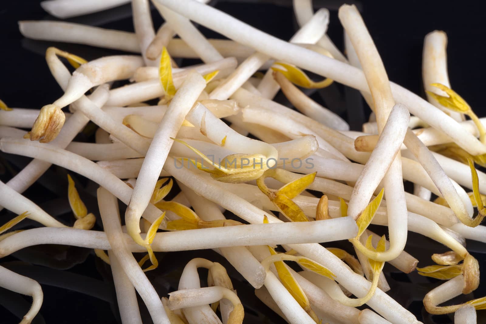 mung bean sprouts isolated on black background