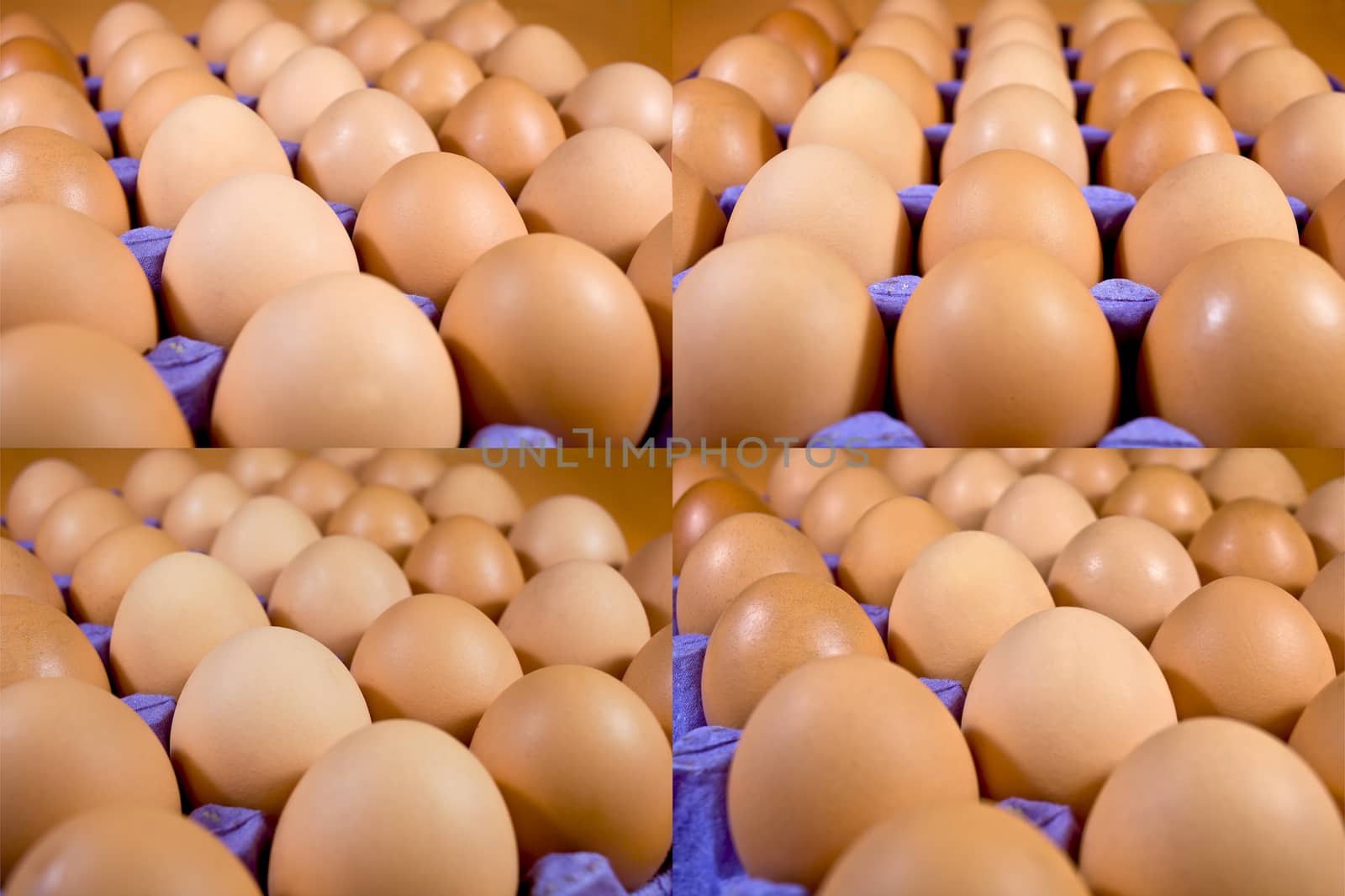 Chicken eggs by Krakatuk