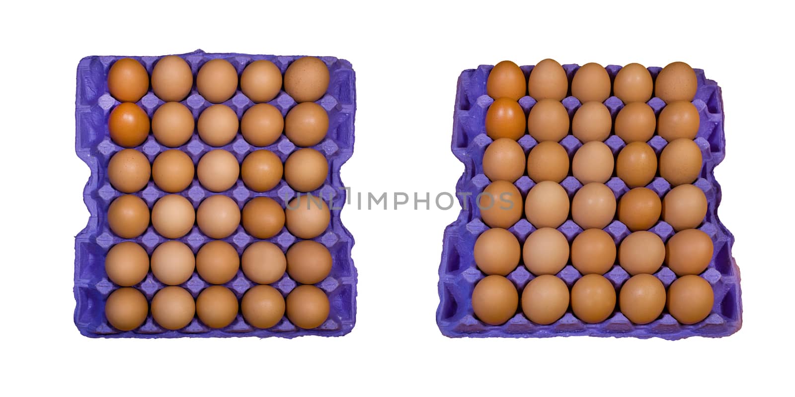 Eggs with orange shell in blue cardboard tray