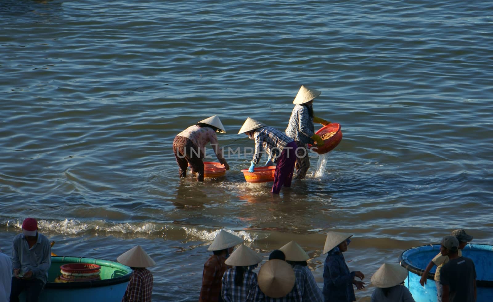 PHAN THIET, VIET NAM- FEB 3: People clean seafood with water on beach in Phan Thiet, Viet Nam on Feb 3, 2013