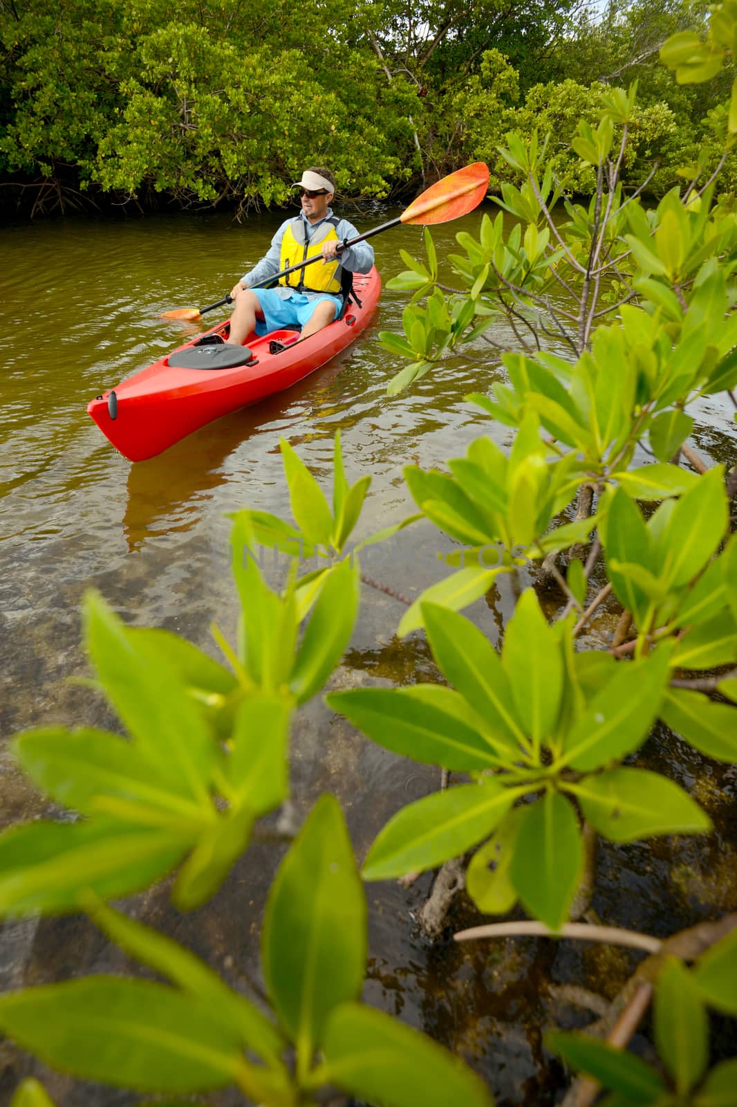 young man in a kayak in a tropical river