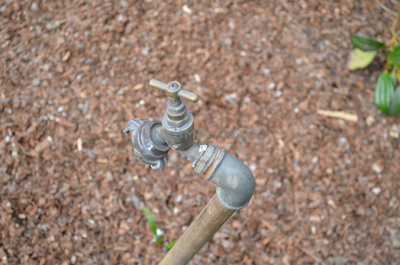Outdoors garden water tap ready to be used on a dry garden.
