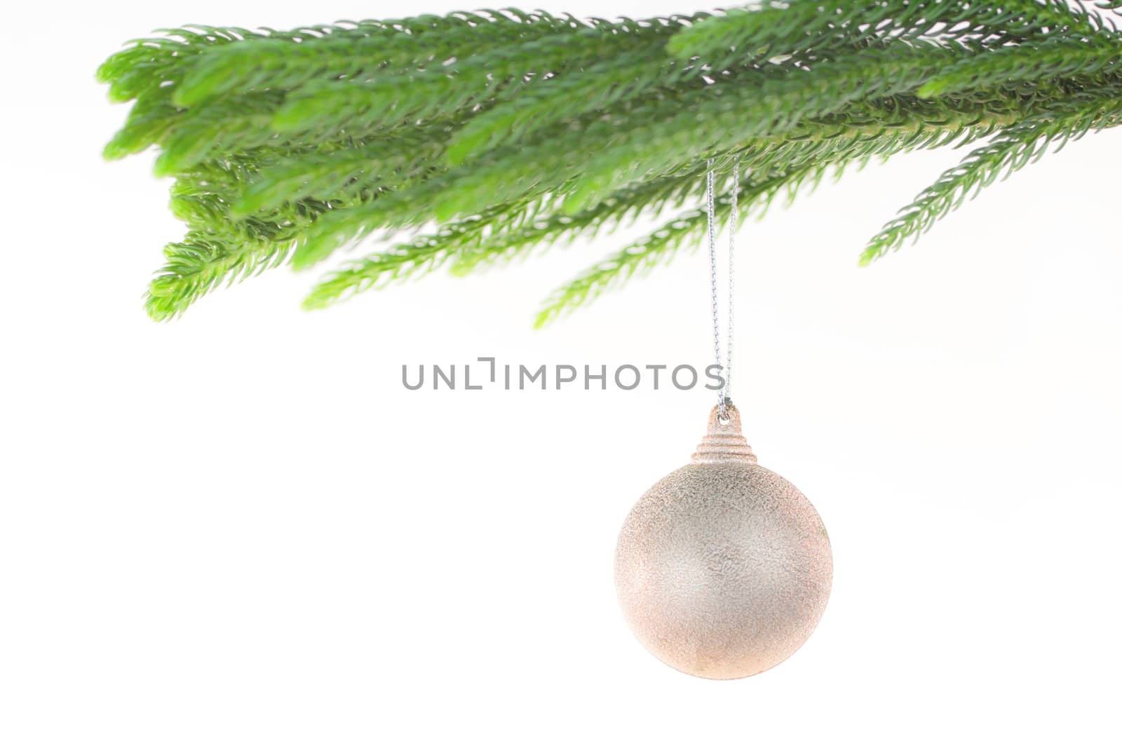 Christmas ball on fir branches. Isolated on white
