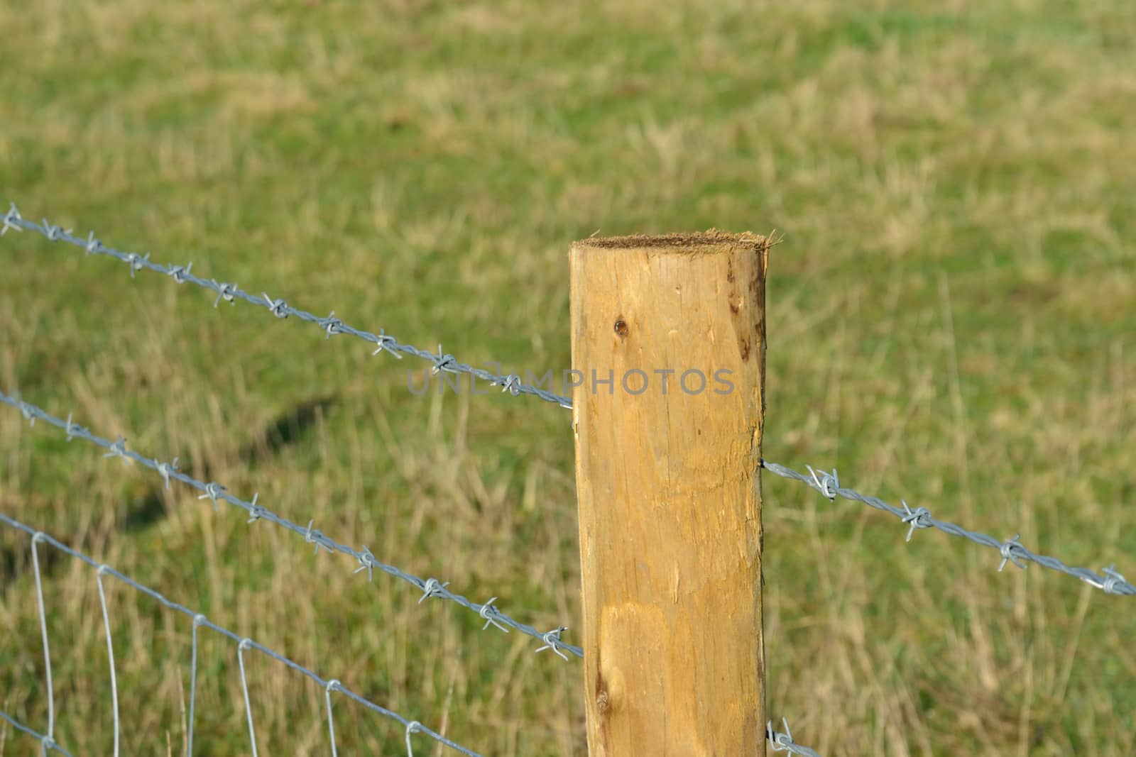 barbed wire fence post by pauws99