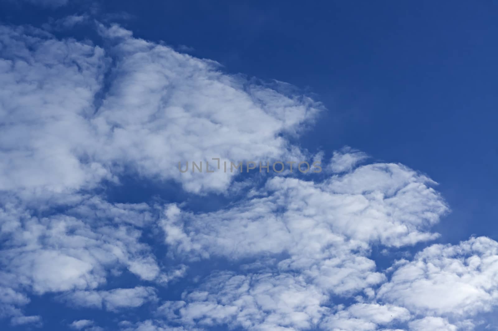 blue sky with cloud closeup ,fragment skyscape