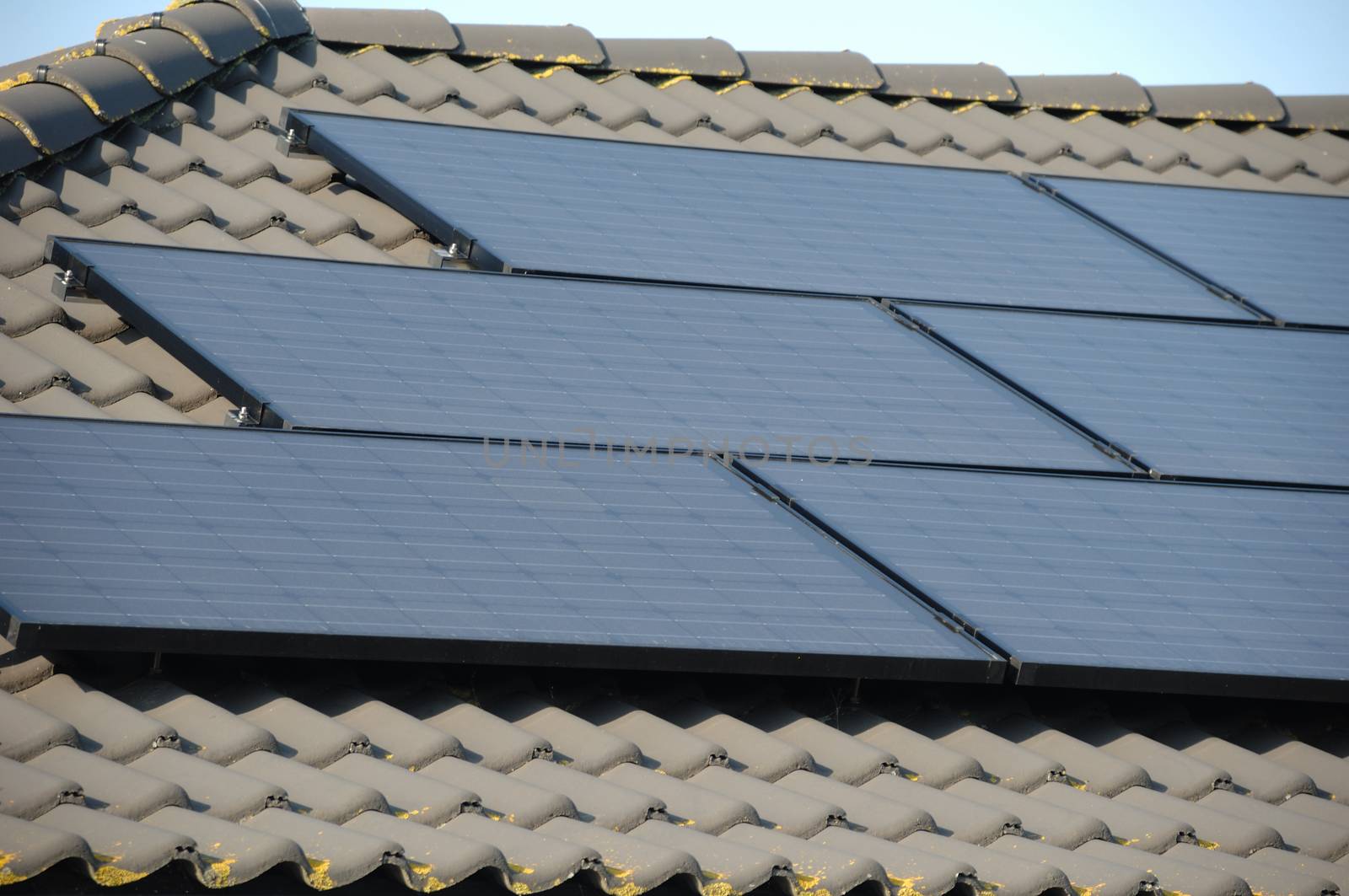 Solar panels by cfoto