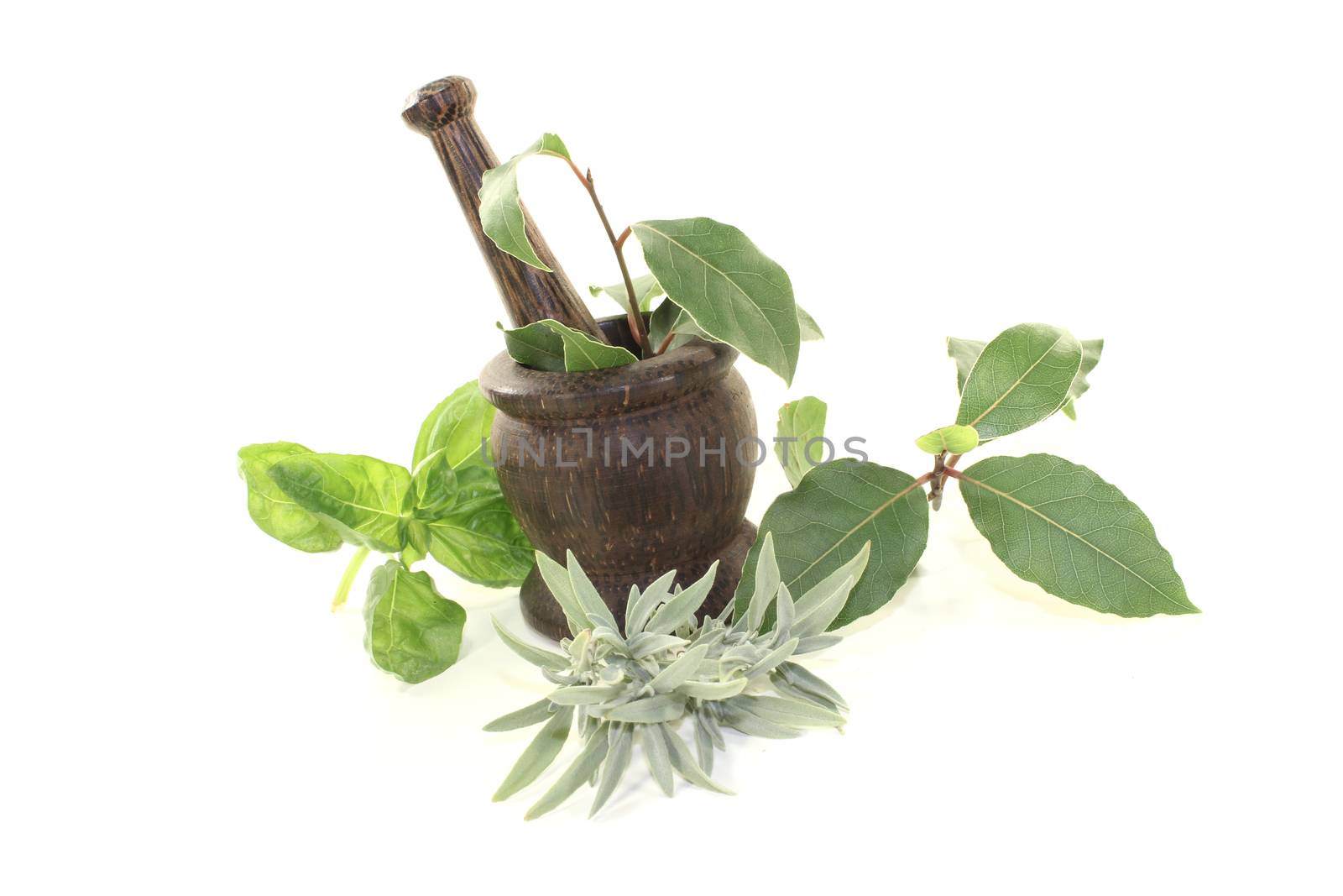 Laurel, sage and basil with mortar by discovery