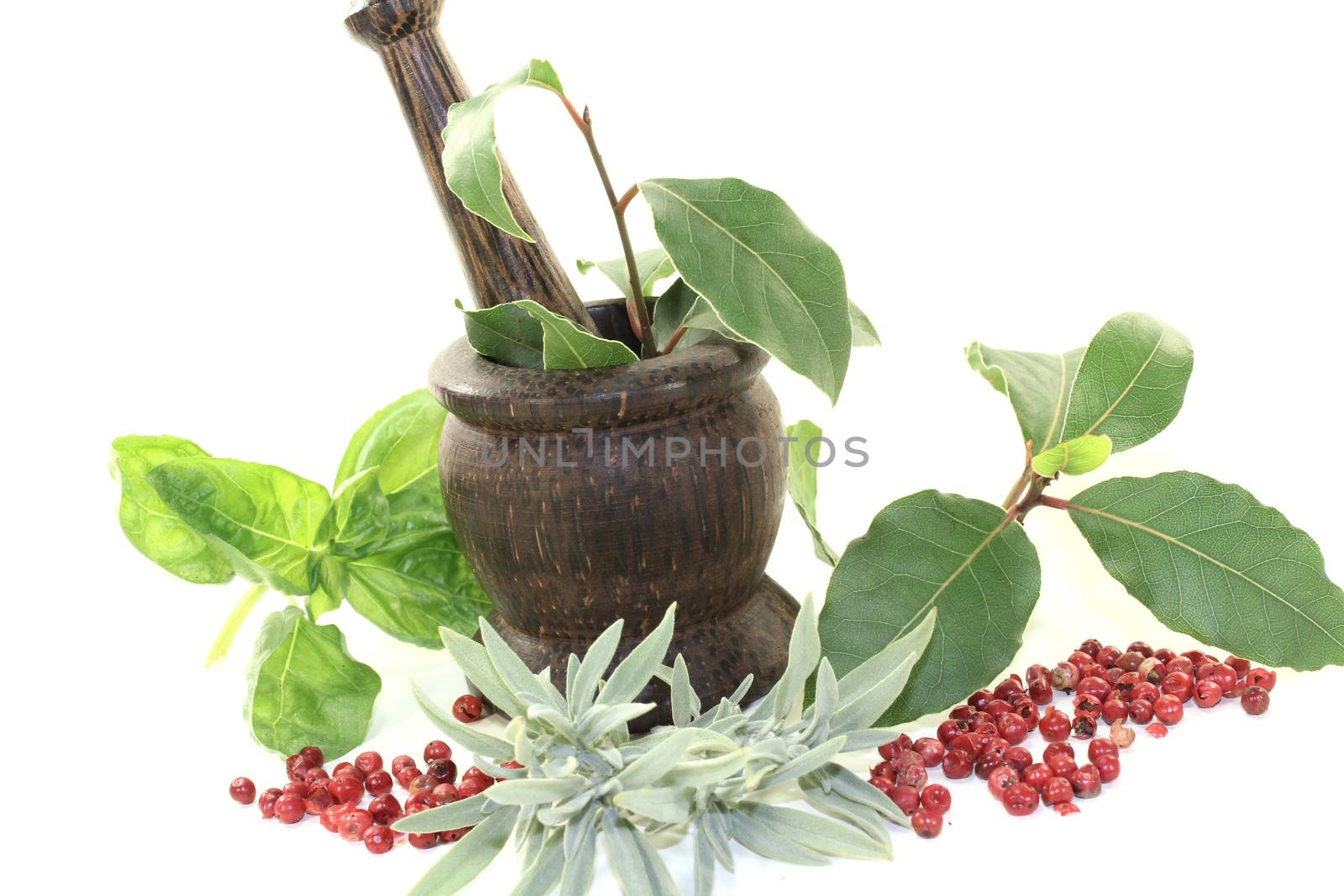 Laurel, sage and basil with Pepper, mortar by discovery