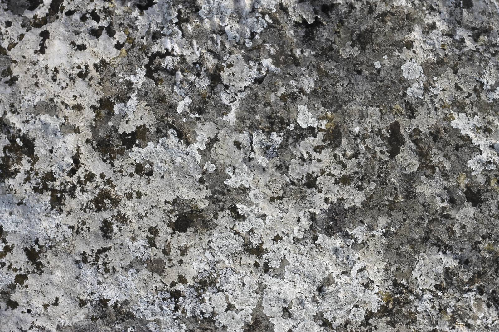Natural background with a stone and the moss