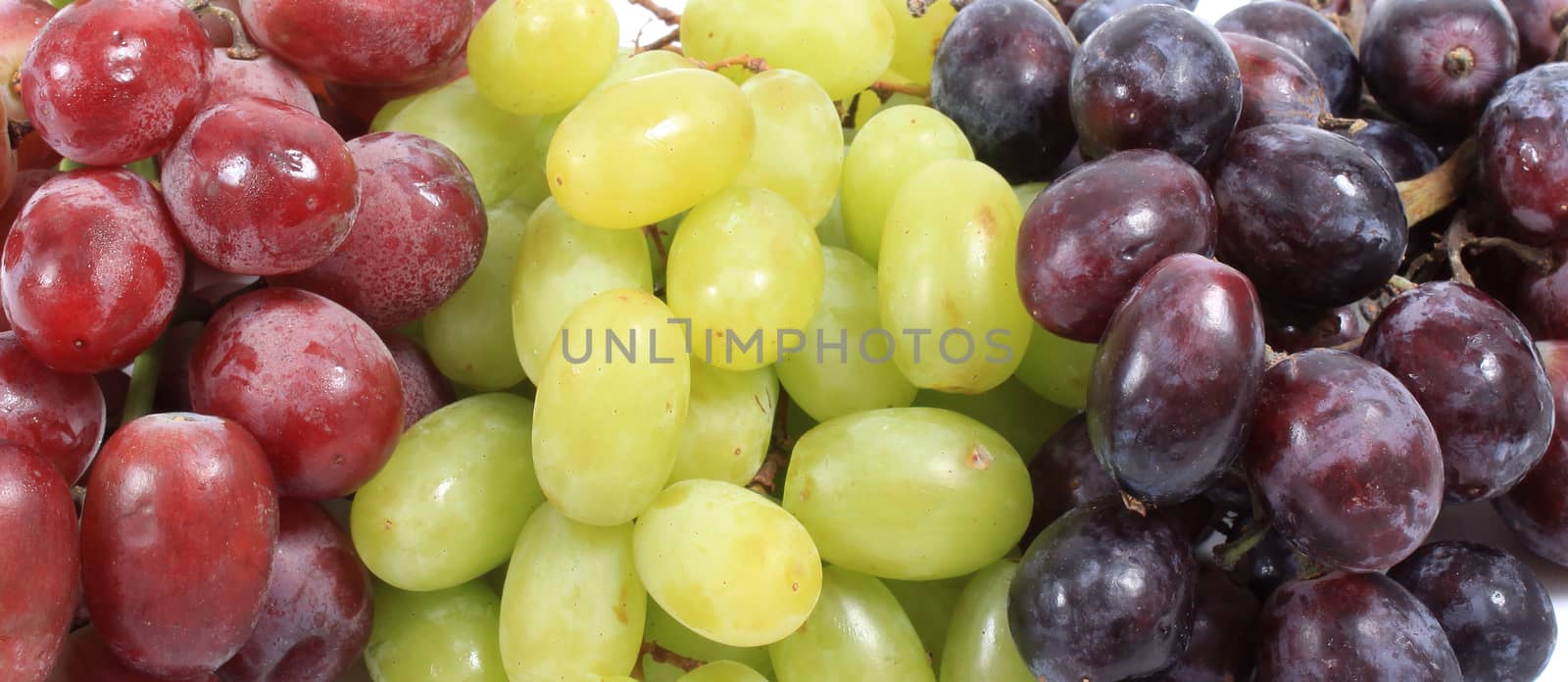 Image of different kinds of grapes like green and red, close-up