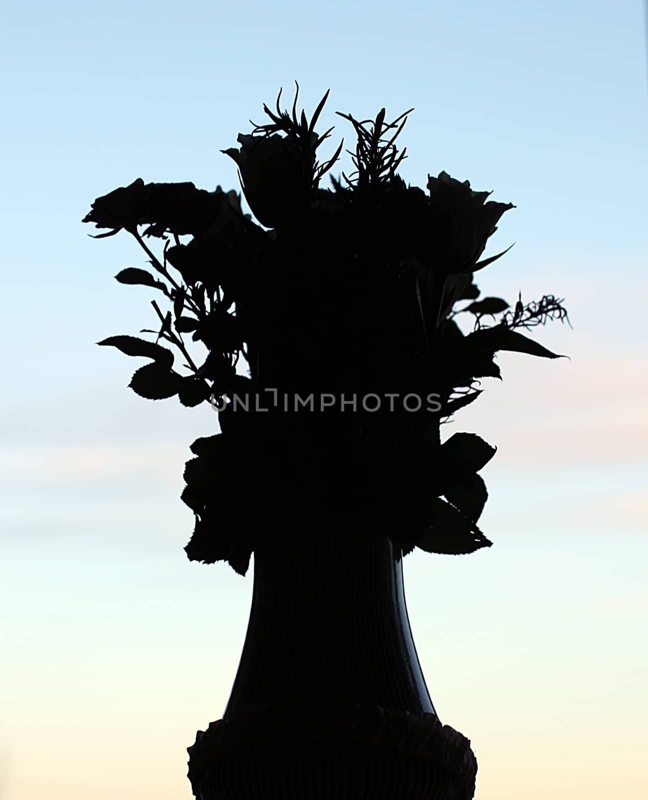 Silhouette of flower vase on evening sky background