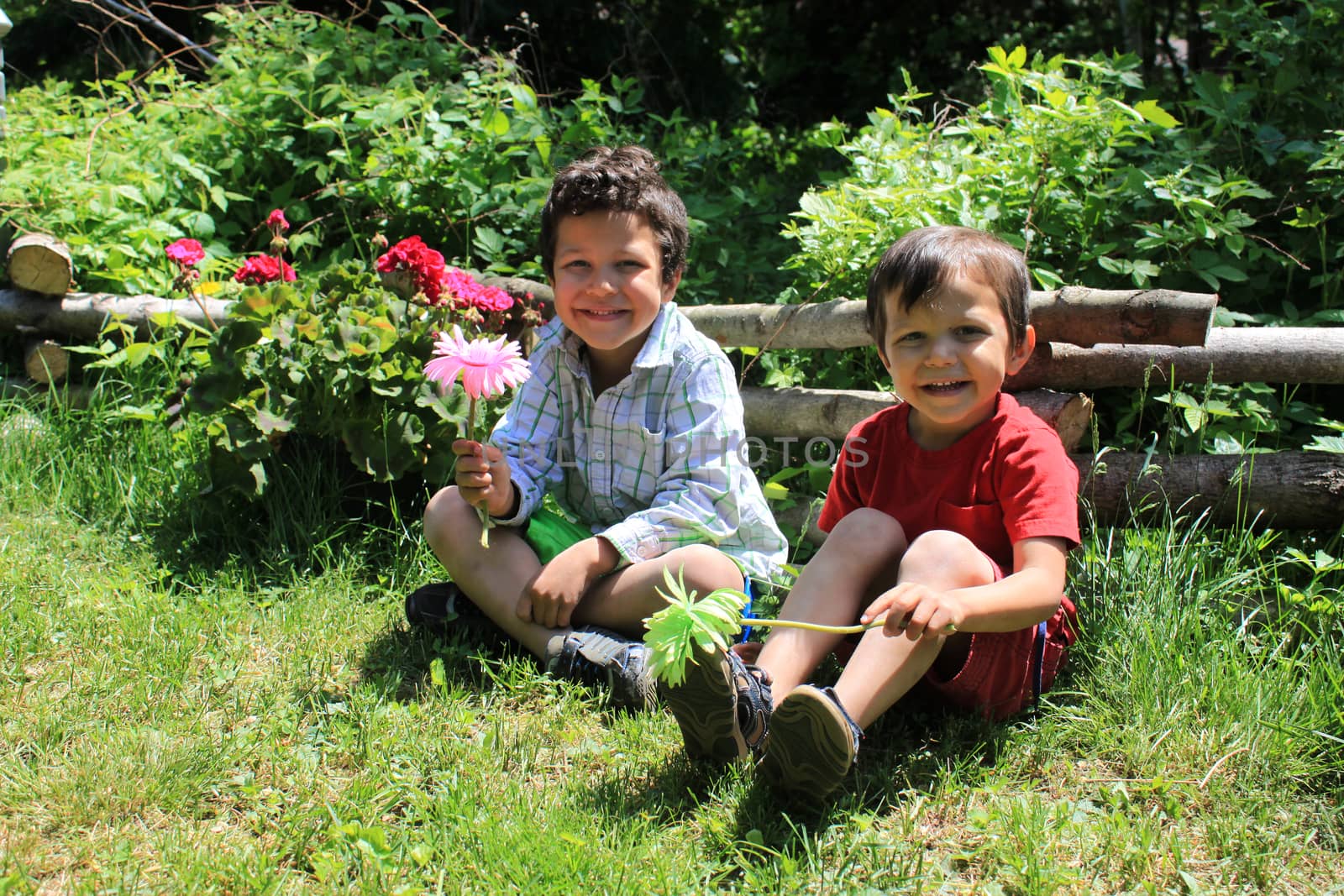 Two little boys who could be brothers sitting in the garden holding flowers and smiling