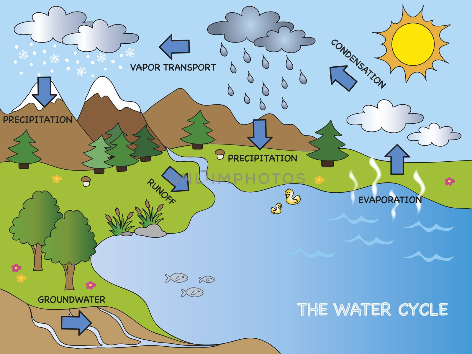 illustration of funny water cycle