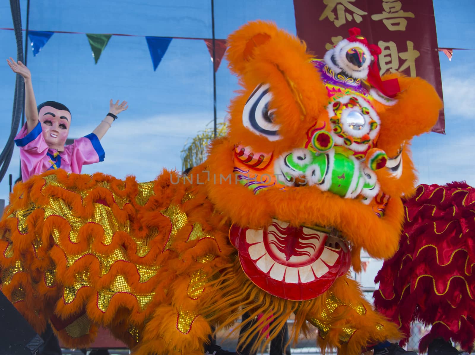 LAS VEGAS - FEB 09 : Lion dance performance during the Chinese New Year celebrations held in Las Vegas , Nevada on February 09 2014