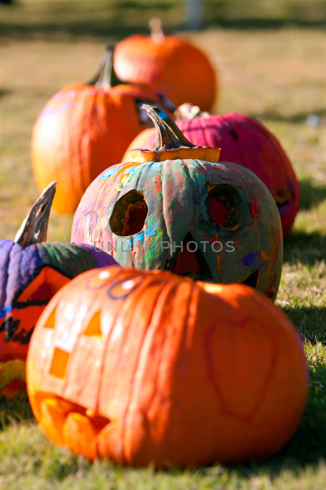 Pumpkins that have been carved and painted by kids at a fall festival, dry in the afternoon sun. 