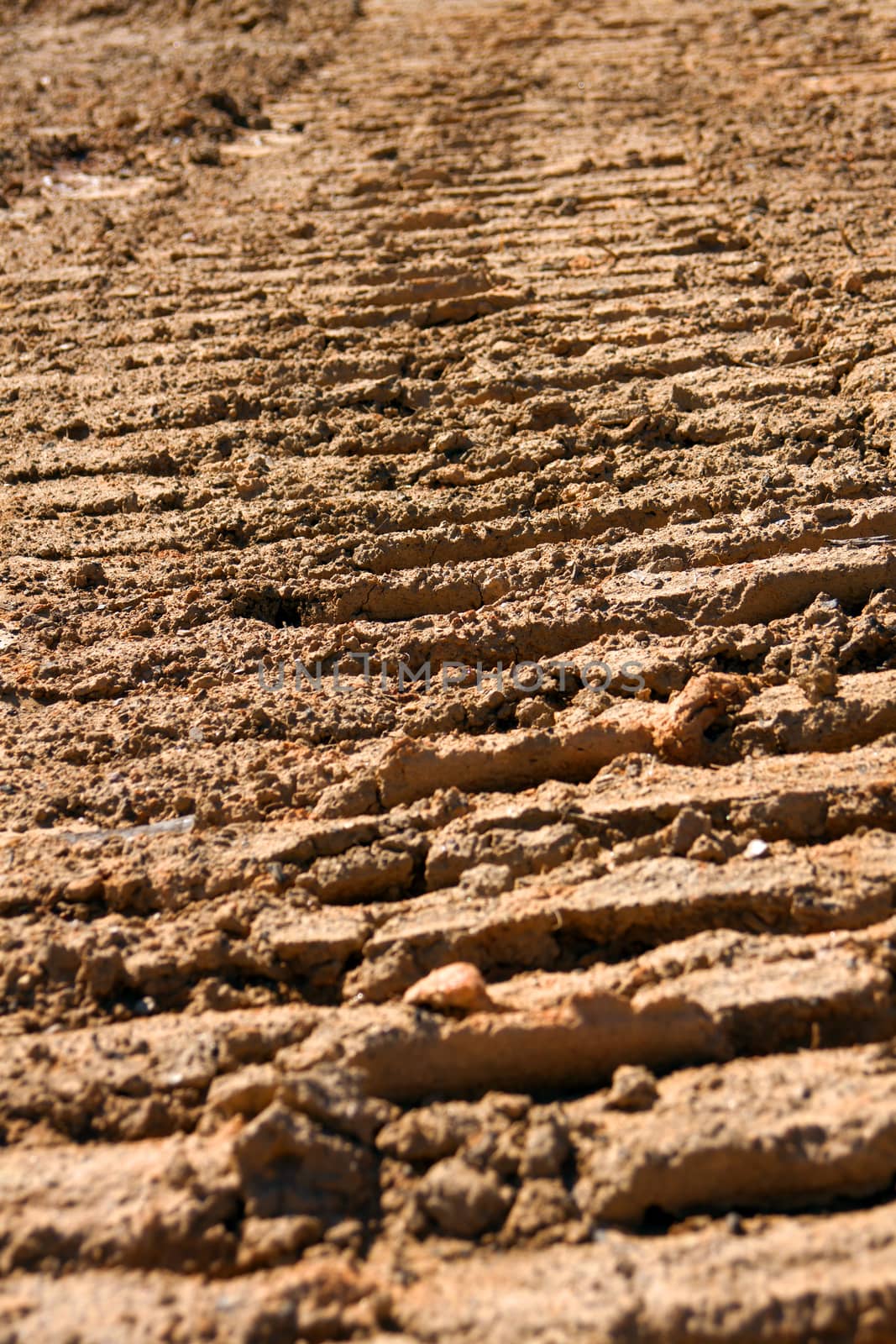 Tire Tread Marks In Dried Mud by BluIz60