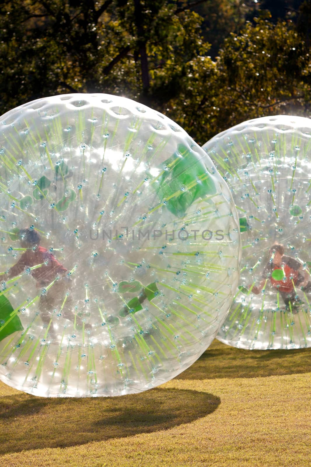 Two kids have fun rolling around inside zorbs at a fall festival. 
