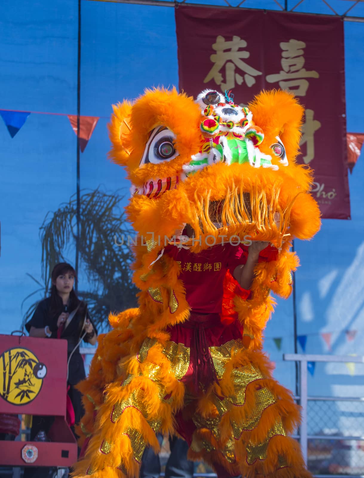 LAS VEGAS - FEB 09 : Lion dance performer during the Chinese New Year celebrations held in Las Vegas , Nevada on February 09 2014