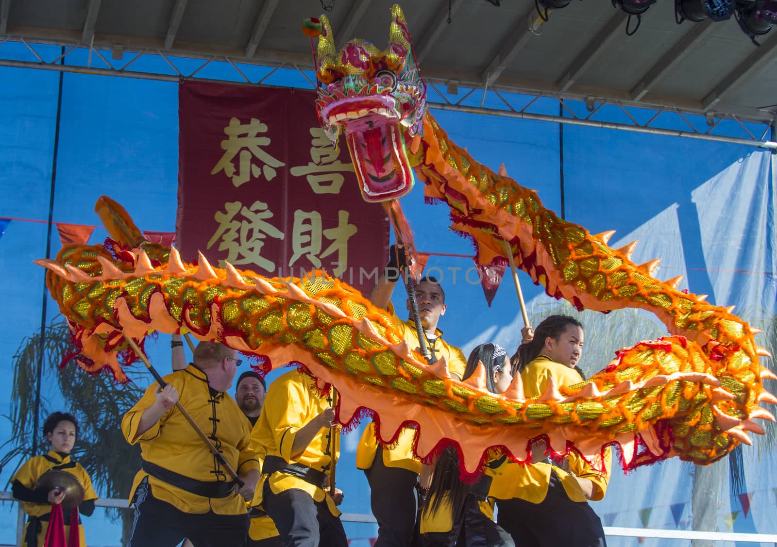 LAS VEGAS - FEB 09 : Dragon dance performers during the Chinese New Year celebrations held in Las Vegas , Nevada on February 09 2014