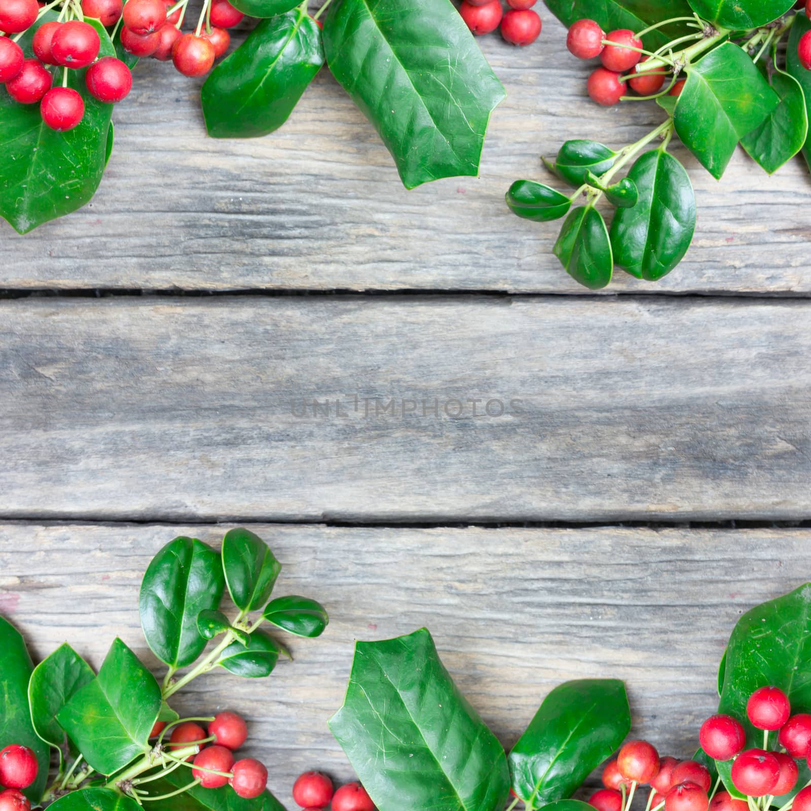 Christmas Border of holly on wood background