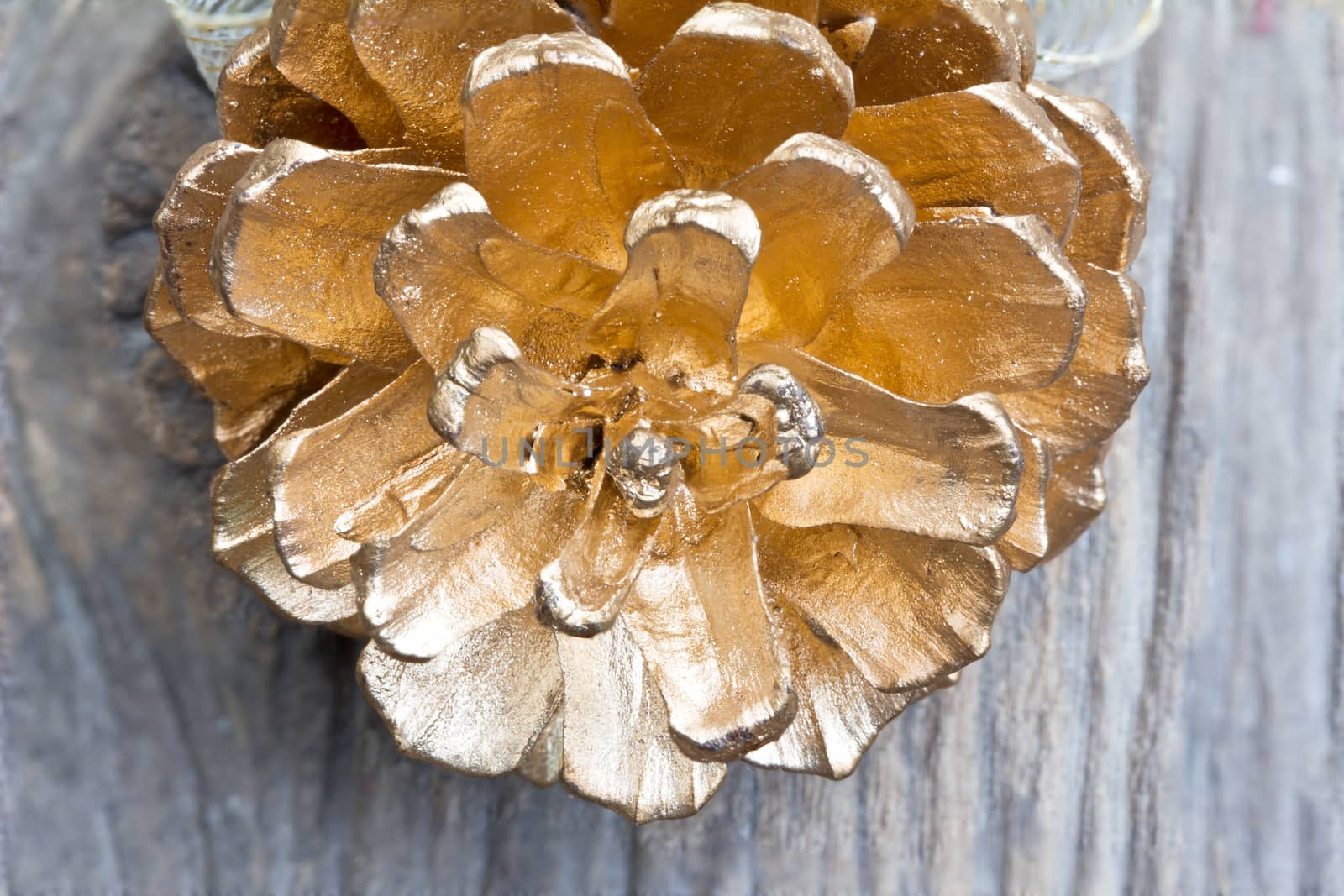 Close up of Cone on old wood background