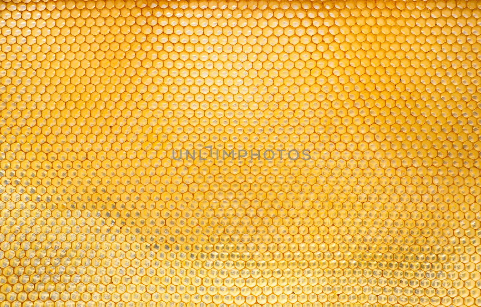 Pattern of hexangon honeycomb in a beehive without bees