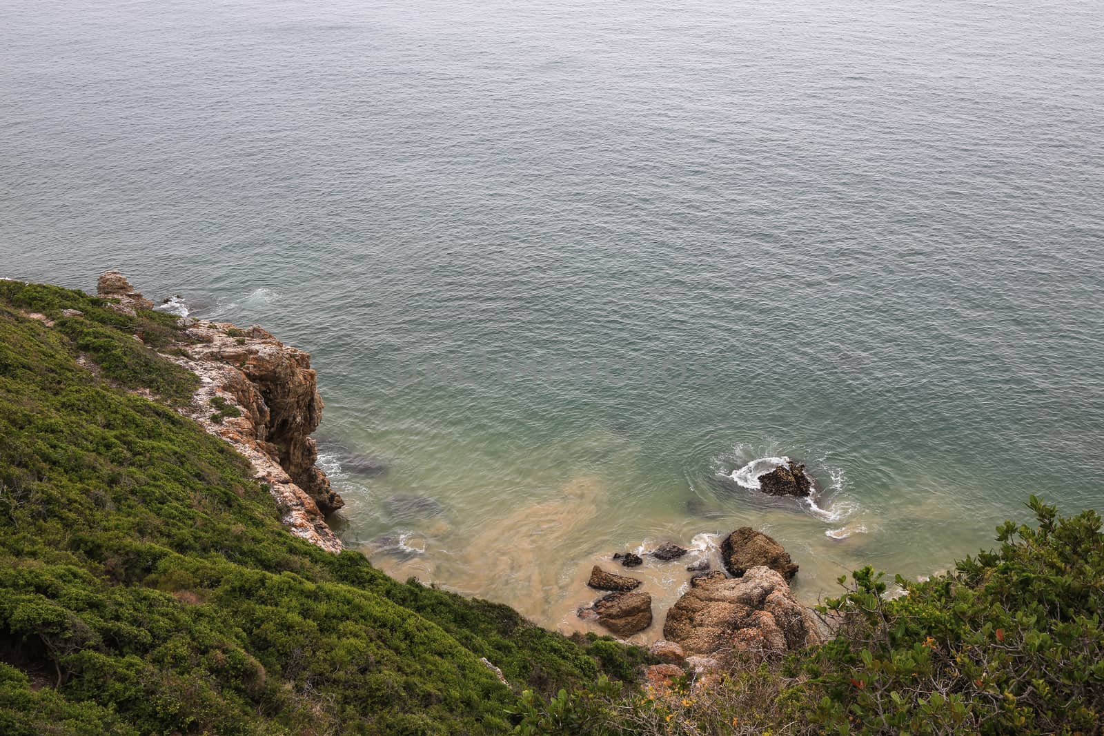 Seascape with rocks and vegetation at the coast in South Africa