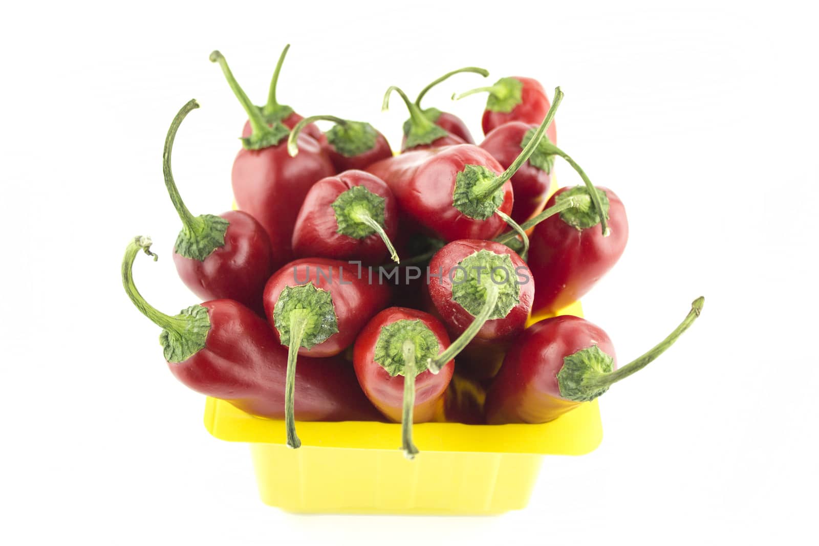 red hot chili pepper on a white background