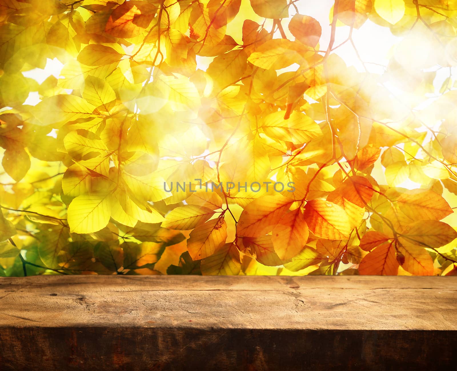 Empty wooden table and beautiful autumn leaves in background