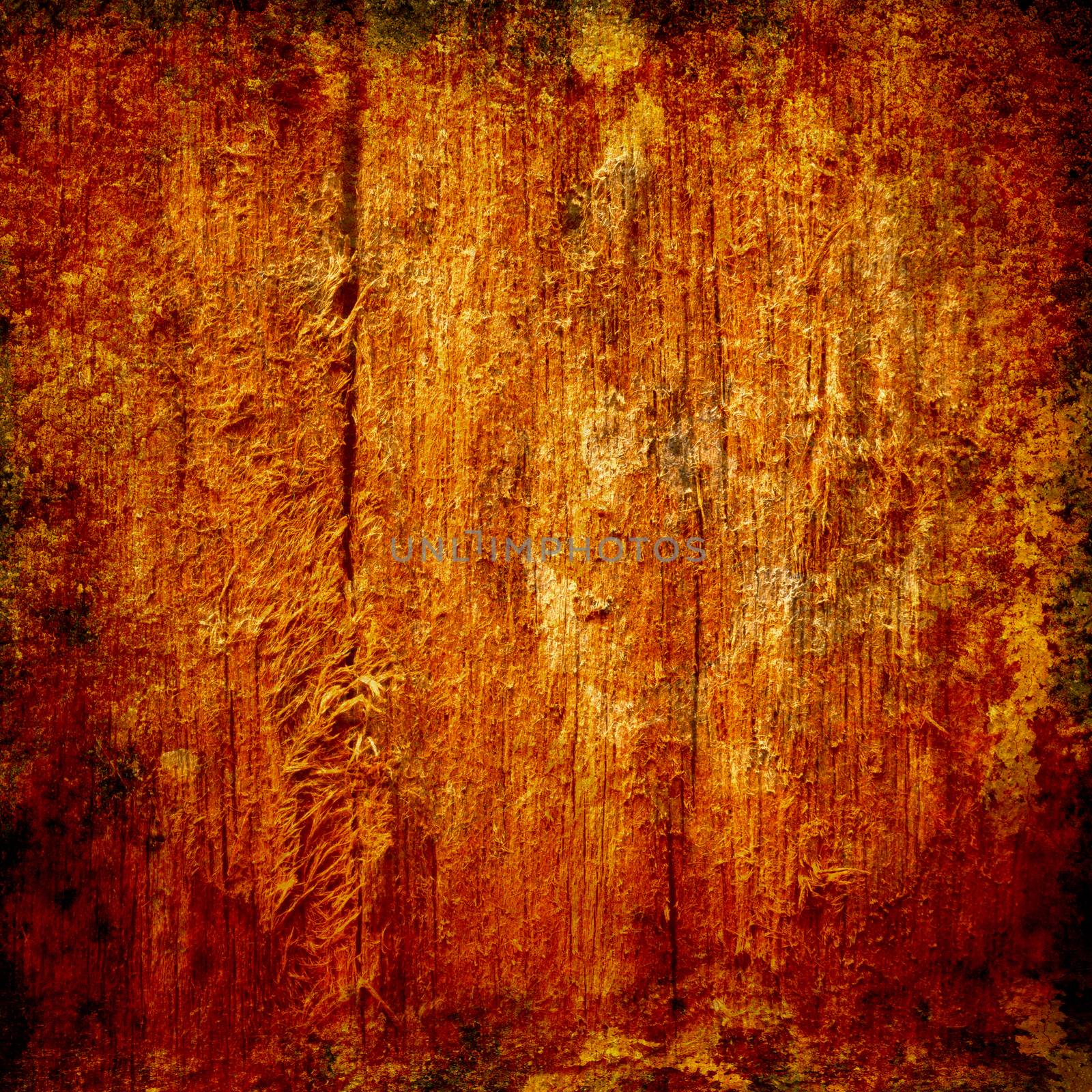 the image of the redwood texture