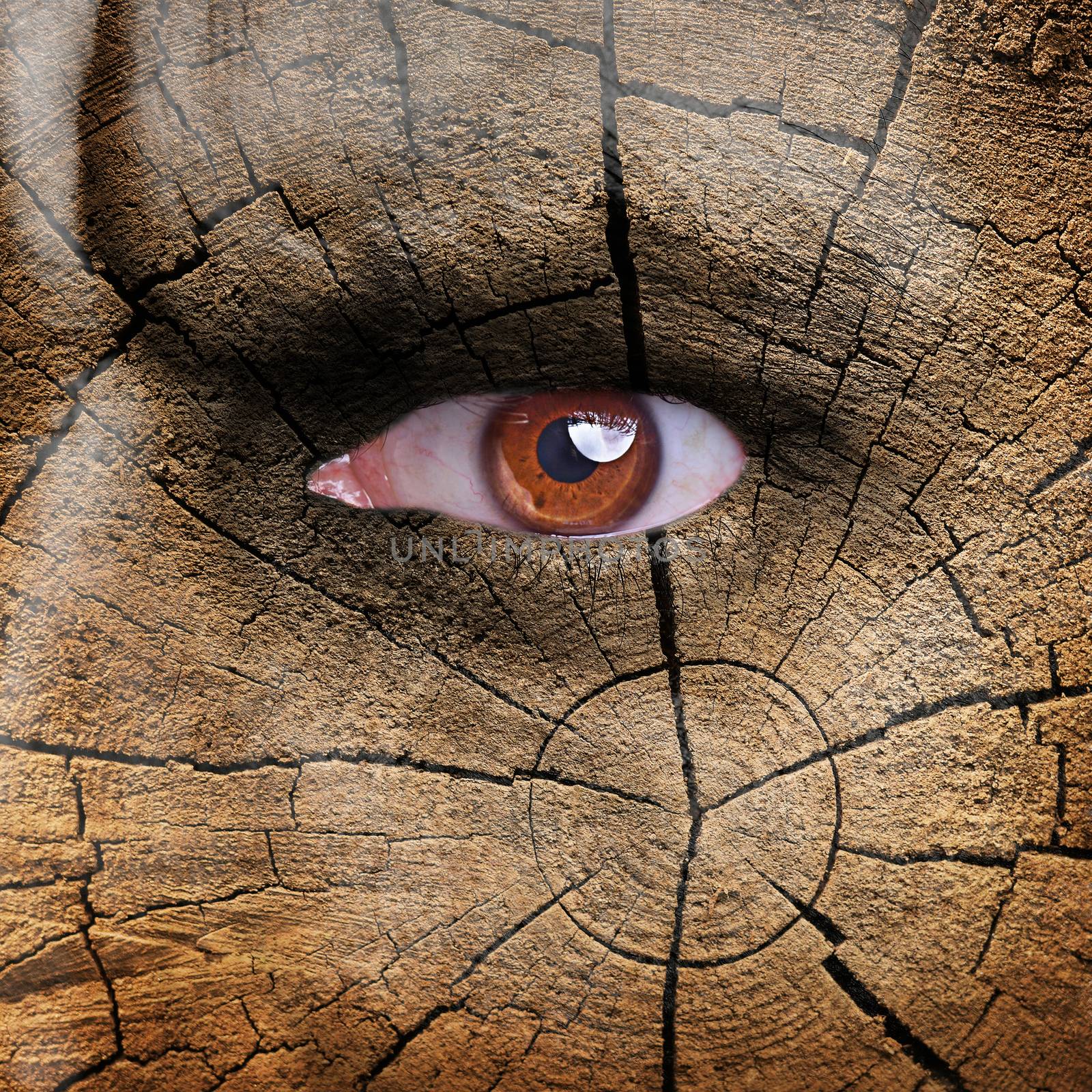 Nature concept - man face covered with wood texture