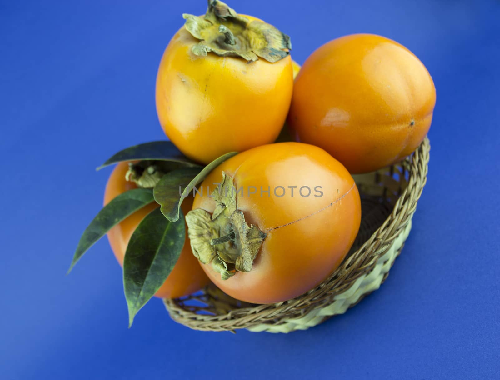 persimmon fruit isolated on blue background.