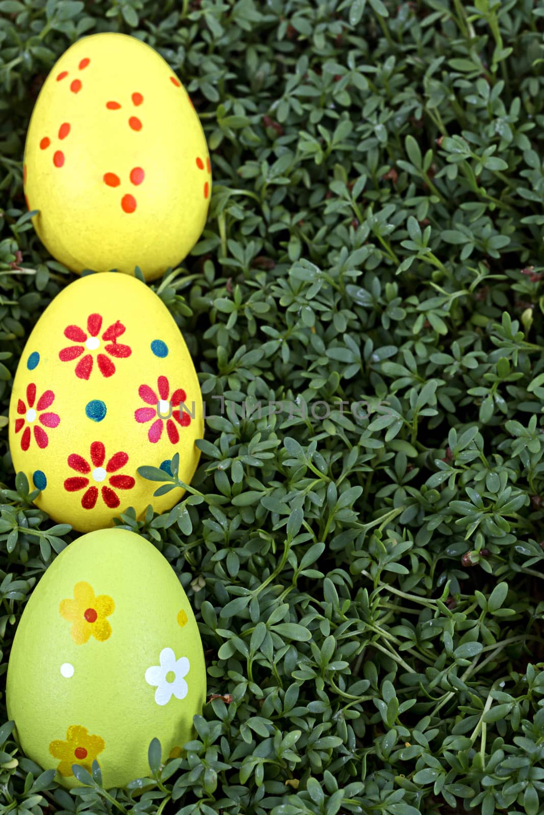 Colourful easter eggs on a green background